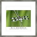 Black And White Winged Dragonfly Framed Print