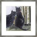 Black Cats Framed Print