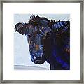 Black Cow Head Framed Print