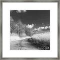 Black Is Beautiful-4 Framed Print