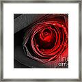 Black Rose Framed Print