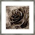 Black Rose Eternal Sepia Framed Print