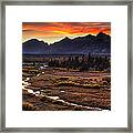 Blacktail Sunset Framed Print