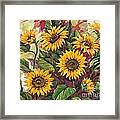 Blazing Sunflowers Framed Print