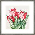 Sun-kissed Tulips Framed Print
