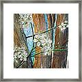 Blooms Of The Cleaveland Pear Framed Print