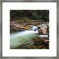 Blossom Of The Gloom Framed Print