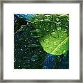 Blue And Green - Waterdrops Series Framed Print