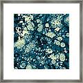 Blue And Yellow Abstraction Framed Print