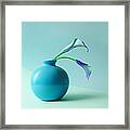 Blue Calla Lilies In Blue Vase Framed Print