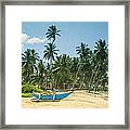 Blue Catamaran At A Beach With Coconut Palm Trees Framed Print