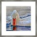 Blue Duck On Ice Framed Print