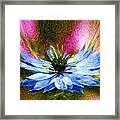 Blue Flower Abstract Framed Print