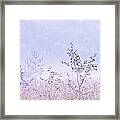 Blue Fog Framed Print