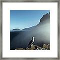 Blue-footed Booby Vicente Roca Framed Print