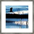 Blue Framed Print