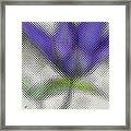 Blue Glass Flower Framed Print