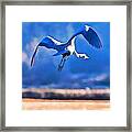 Blue Heron Away Framed Print