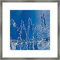 Blue Ice Forest At The Edge Of A Blue Ice Lake Framed Print