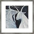 Blue Moon Goats Framed Print