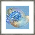 Blue Nautilus Pair - Horizontal Framed Print