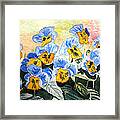 Blue Pansy Framed Print