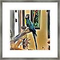 On The Perch Framed Print