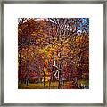 Blue Ridge Fenced In Fall Framed Print