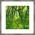 Blue Ridge - Hiking Trail Through Trees In Fog Ii Framed Print