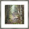 Blue Ridge Trail Framed Print