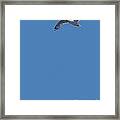 Blue Series 001 Freedom Framed Print