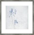 Blue Softness Framed Print