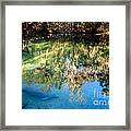 Blue Springs Reflections Blue Springs State Park Florida Framed Print