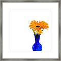 Blue Vase Framed Print