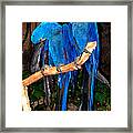 Blue Velvet Framed Print