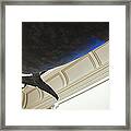 Blue Whale Experience Framed Print