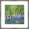 English Bluebell Flower Fairy Picture Framed Print