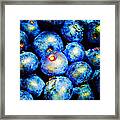 Blueberries Framed Print