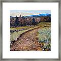 Blueberry Field Early Spring Framed Print