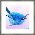 Bluebird Framed Print