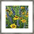 Blues And Yellows Framed Print