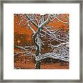 Blustery Framed Print