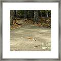 Boardwalk Framed Print