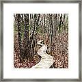 Boardwalk Through The Woods Framed Print