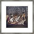 Boat-full Of Puppies Arrived At The Vet Framed Print