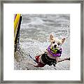 Bobby Gorgeous Wipes Out Framed Print