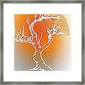 Bonsai Orange Framed Print