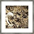 Book Angel Deep In Thought Framed Print