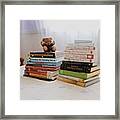 Book Lovers Never Go To Bed Alone Framed Print