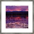 Bosque Sunset - Purple Framed Print